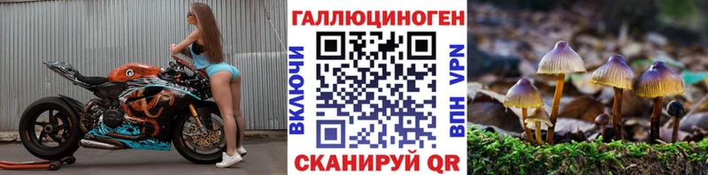 Галлюциногенные грибы Magic Shrooms Купить где Михайловка